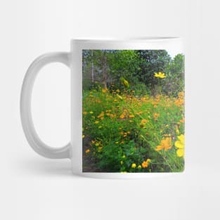 cosmos, yellow, floral, flower, cosmos flower, cosmos flowers, botanical, nature, flowers, garden, yellow cosmos, daisy, yellow flower, natural, wildflowers Mug